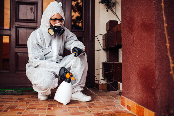 Reliable Cockroach Control contractor in Tiburon, CA by Nex Pest Control